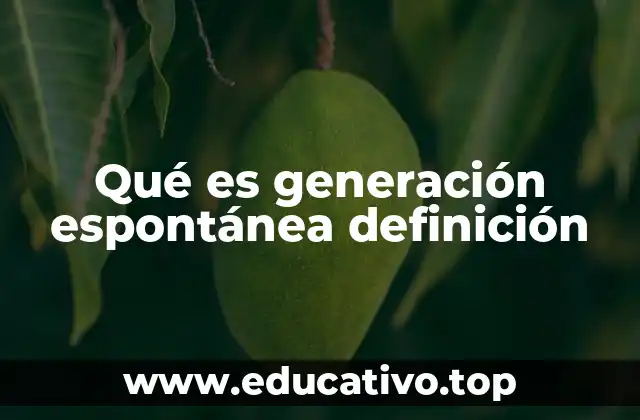 Qué es generación espontánea definición