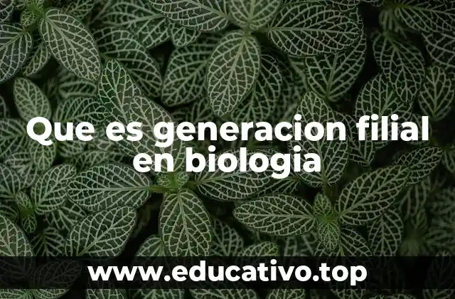 Que es generacion filial en biologia