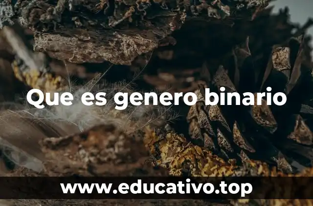 Que es genero binario