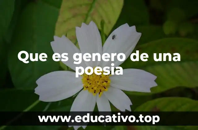 Que es genero de una poesia