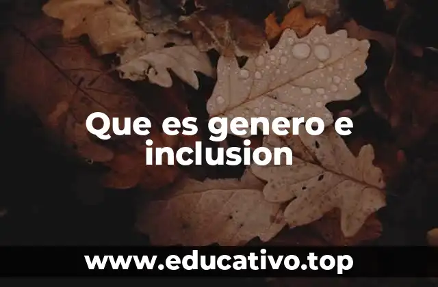 Que es genero e inclusion