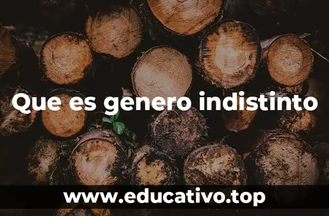 El lenguaje inclusivo en la comunicación moderna