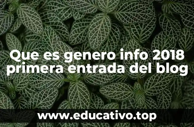 Que es genero info 2018 primera entrada del blog