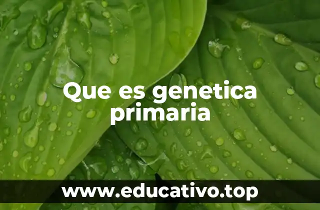 Que es genetica primaria