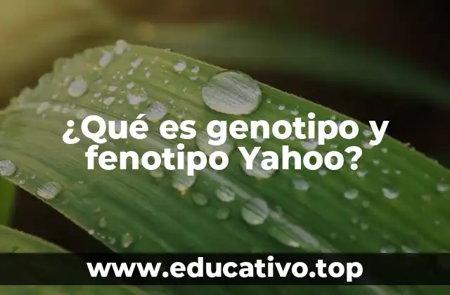 ¿Qué es genotipo y fenotipo Yahoo?