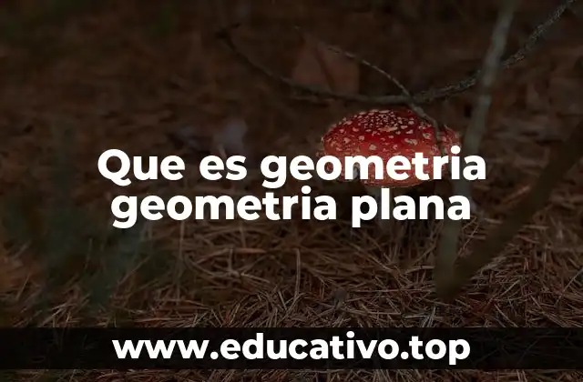 Que es geometria geometria plana
