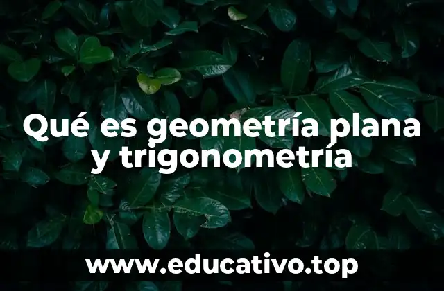 Qué es geometría plana y trigonometría