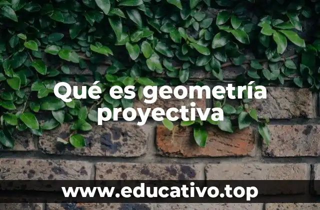 Qué es geometría proyectiva