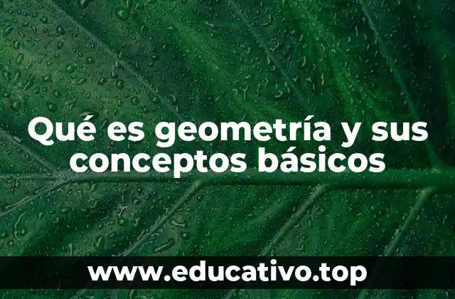 La geometría como herramienta para describir el mundo