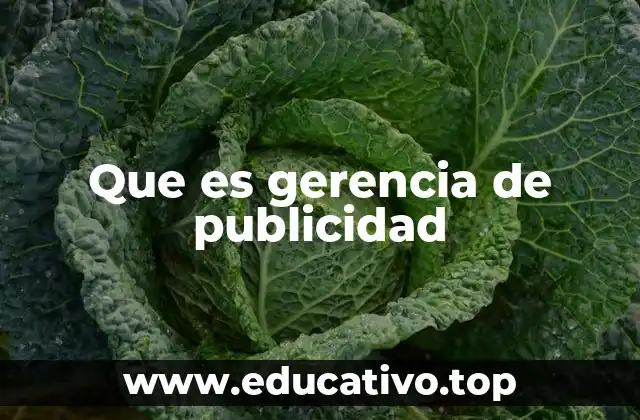 Que es gerencia de publicidad