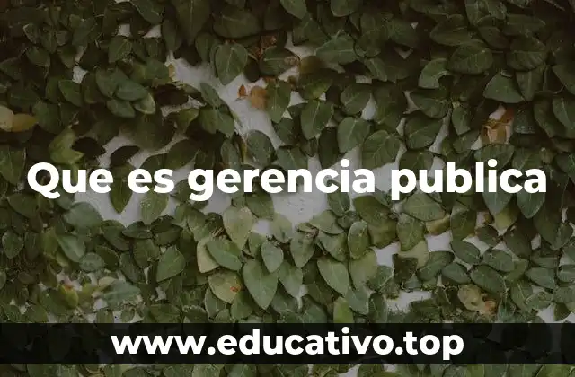 Que es gerencia publica
