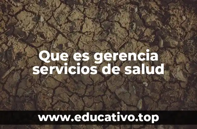 El rol de la gestión en la salud pública