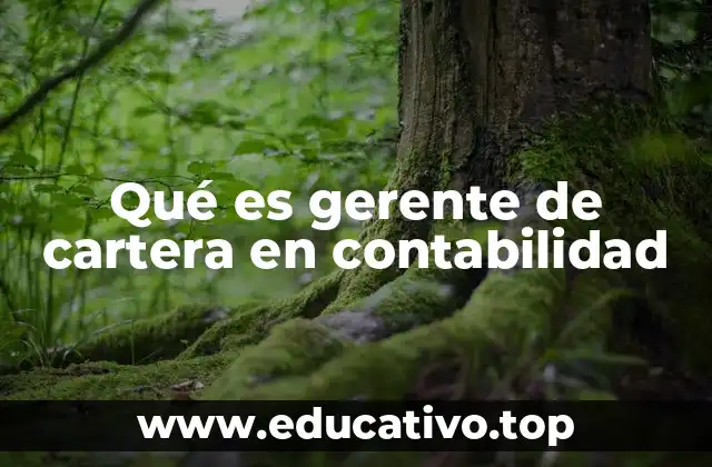 Qué es gerente de cartera en contabilidad