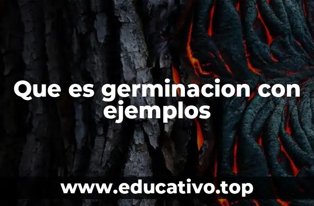 Que es germinacion con ejemplos