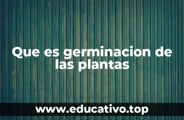 Que es germinacion de las plantas