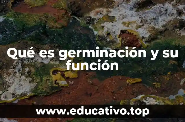 Qué es germinación y su función