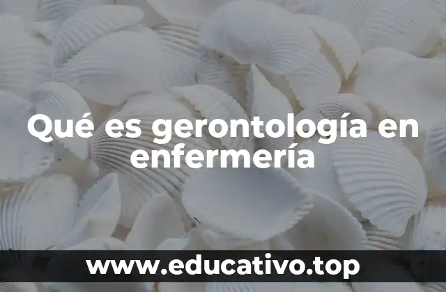 Qué es gerontología en enfermería