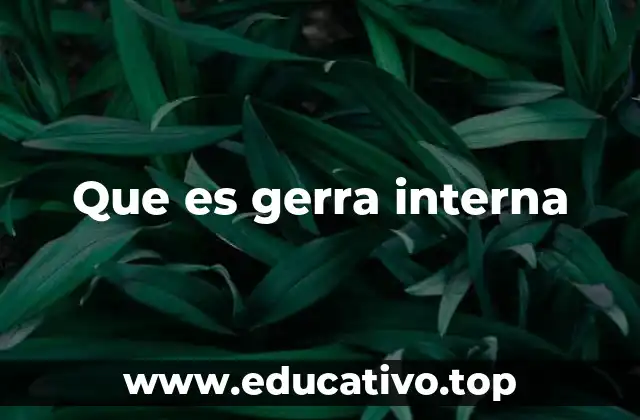 Que es gerra interna