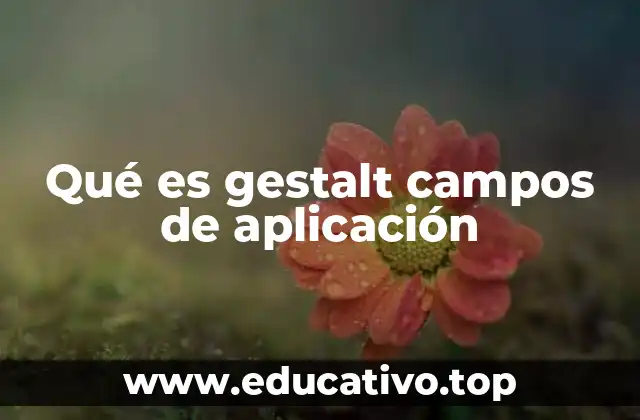 Qué es gestalt campos de aplicación