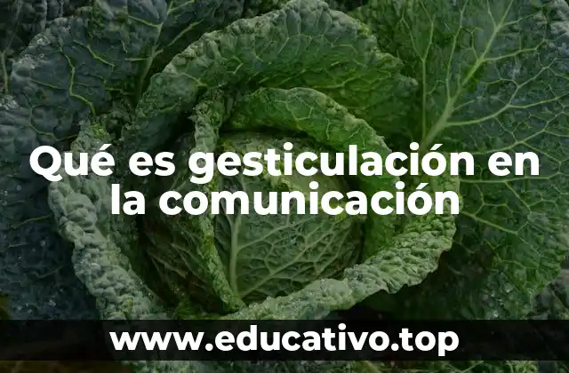 Qué es gesticulación en la comunicación