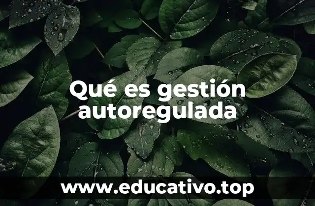 Qué es gestión autoregulada