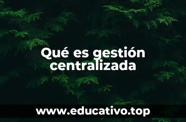 Qué es gestión centralizada