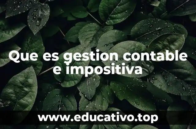 Que es gestion contable e impositiva