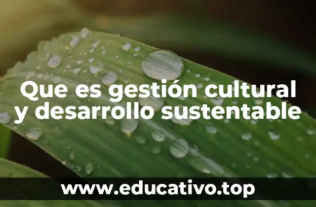 Que es gestión cultural y desarrollo sustentable