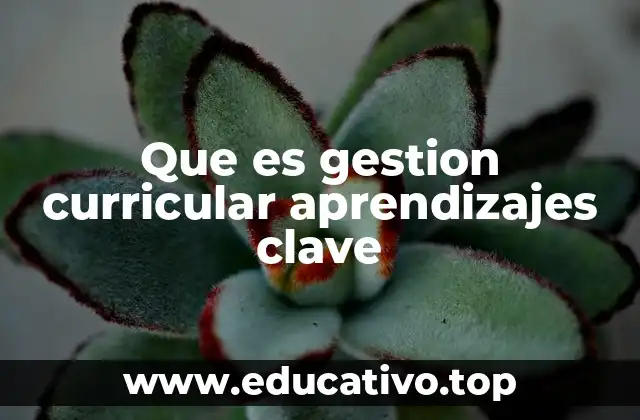 Que es gestion curricular aprendizajes clave