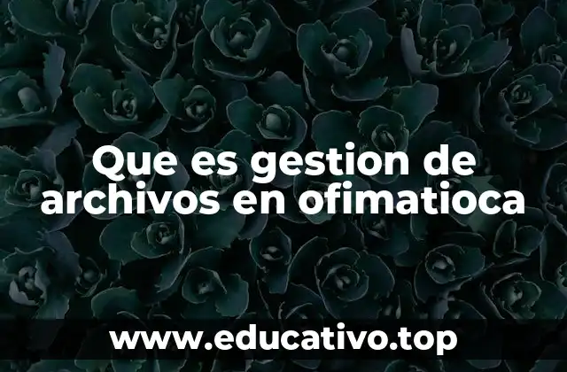 La importancia de organizar documentos en software ofimático