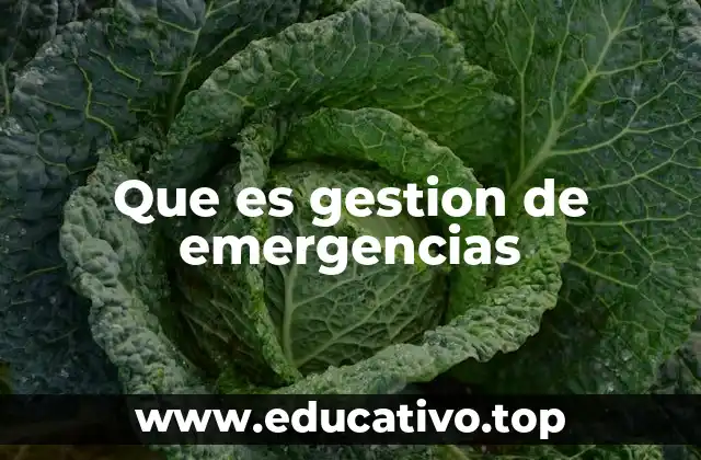 Que es gestion de emergencias