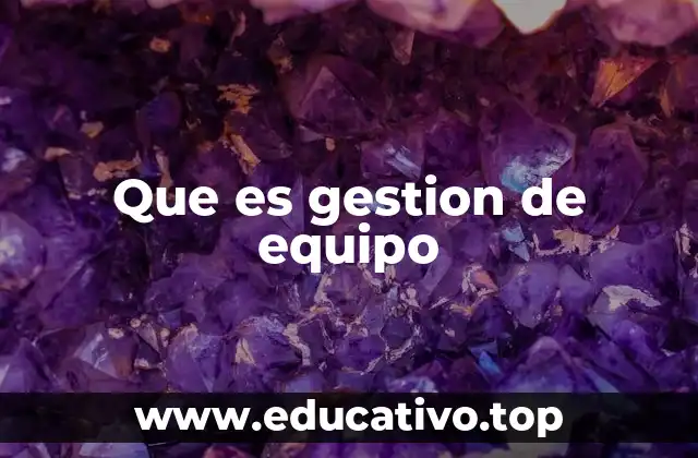 Que es gestion de equipo