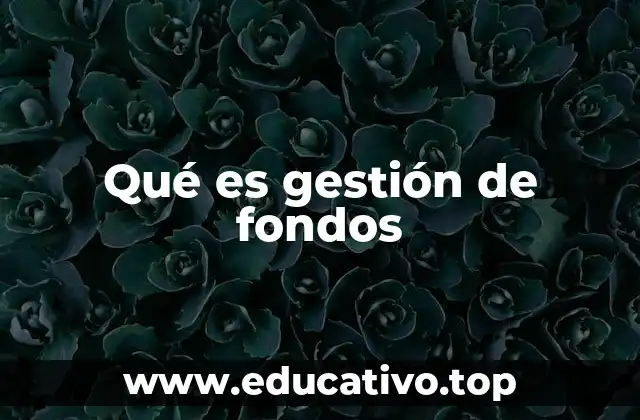 Qué es gestión de fondos