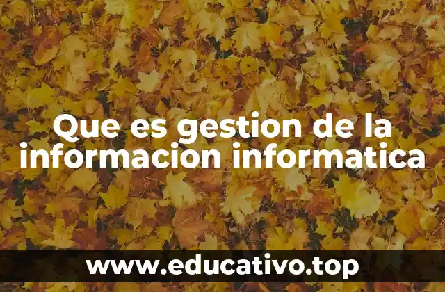 La importancia de organizar la información en el entorno digital