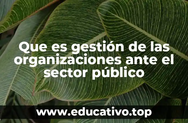Que es gestión de las organizaciones ante el sector público