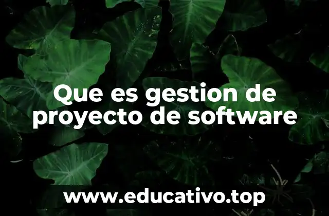 Que es gestion de proyecto de software