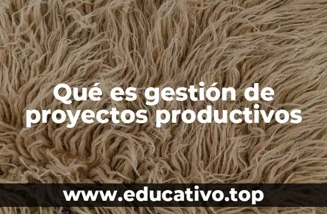 Qué es gestión de proyectos productivos