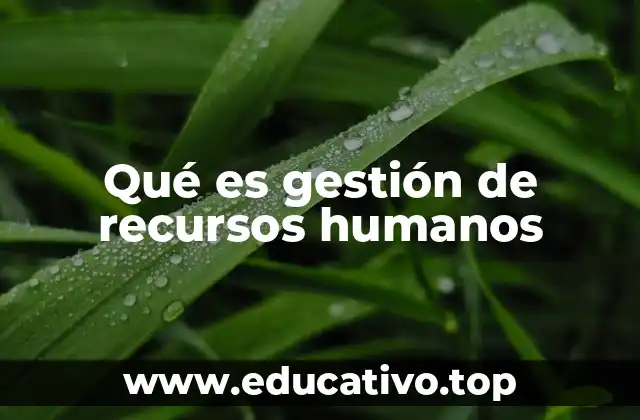 Qué es gestión de recursos humanos