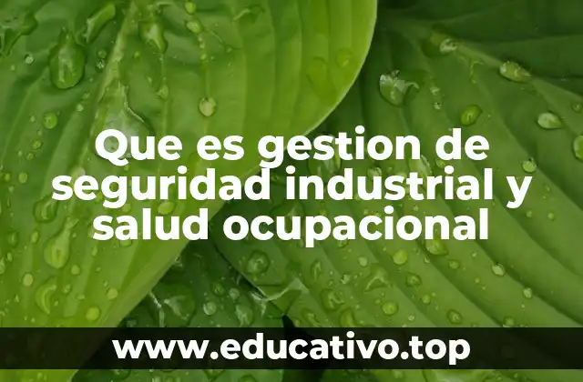 Que es gestion de seguridad industrial y salud ocupacional