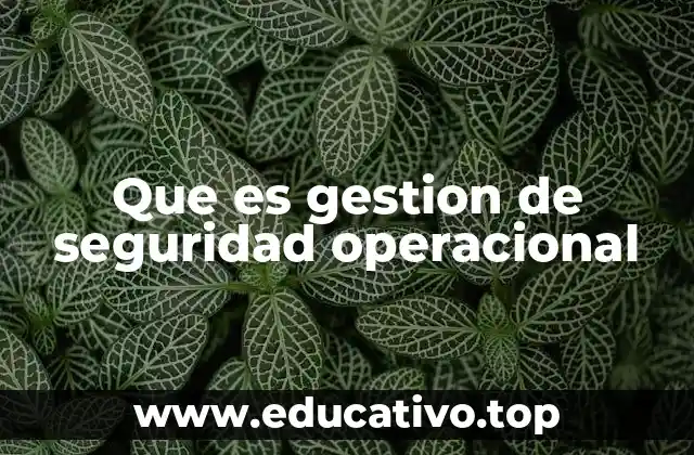 Que es gestion de seguridad operacional