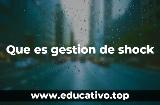 Que es gestion de shock