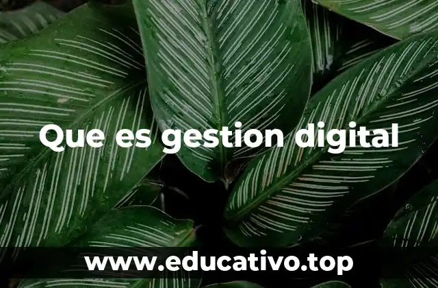 Que es gestion digital