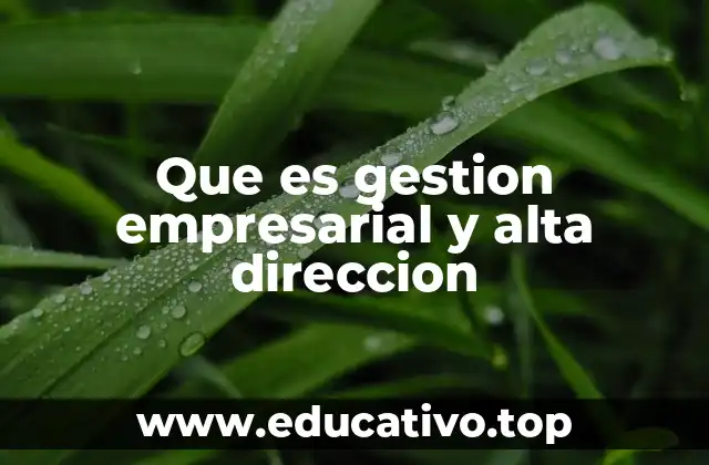 Que es gestion empresarial y alta direccion