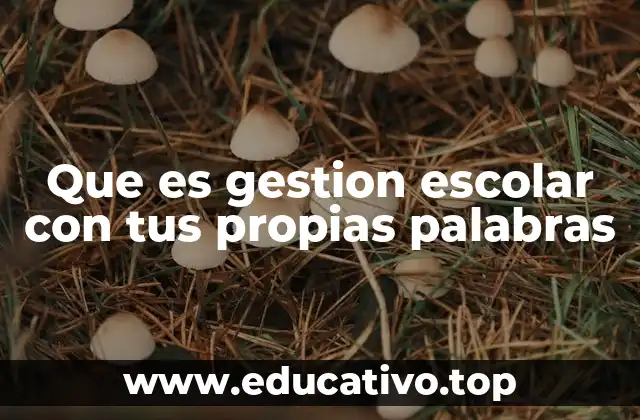Que es gestion escolar con tus propias palabras