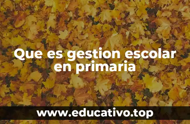 Que es gestion escolar en primaria