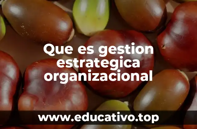 Que es gestion estrategica organizacional