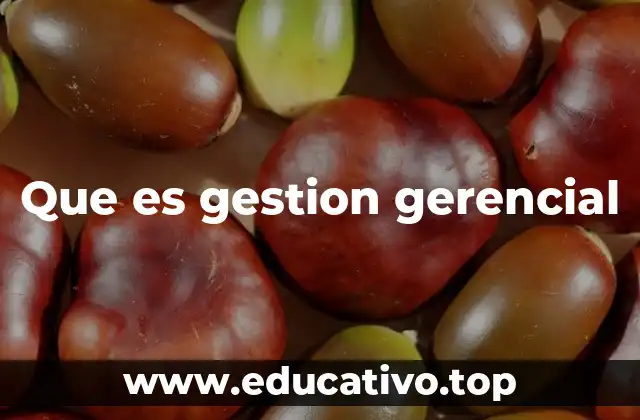 Que es gestion gerencial