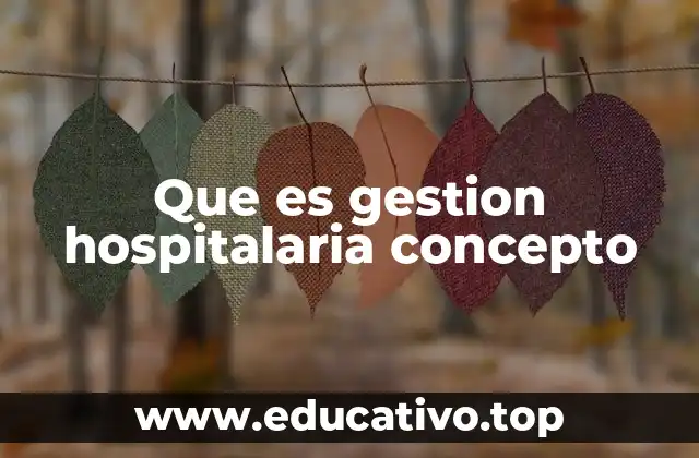 Que es gestion hospitalaria concepto