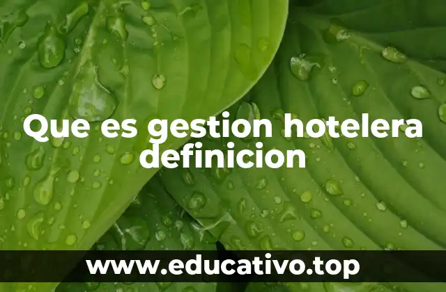 Que es gestion hotelera definicion