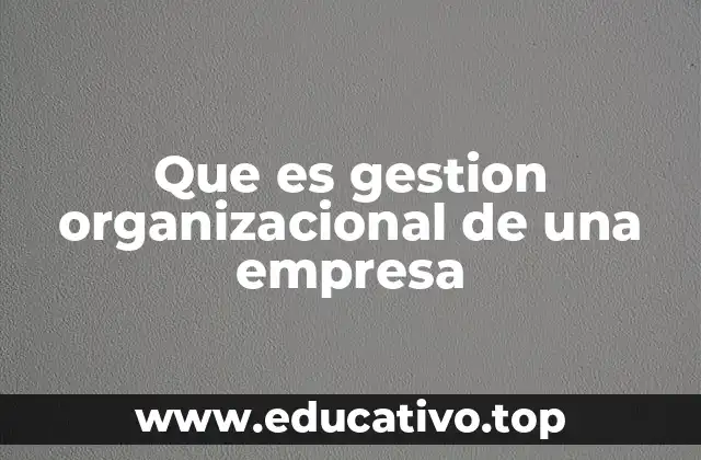 Que es gestion organizacional de una empresa